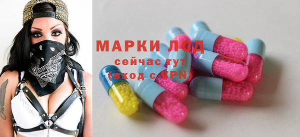 сатива Аркадак