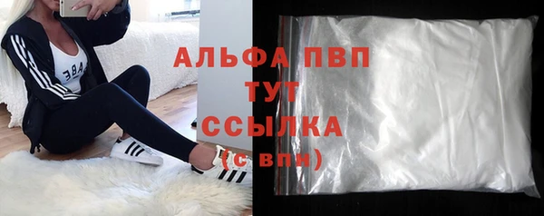 стаф Арсеньев