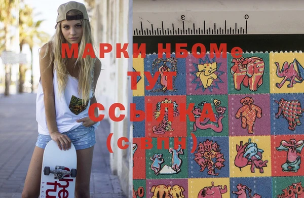 сатива Аркадак