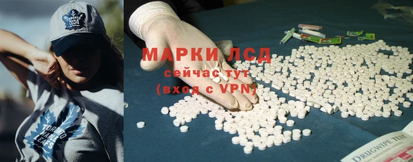 сатива Аркадак