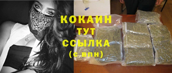 стаф Арсеньев