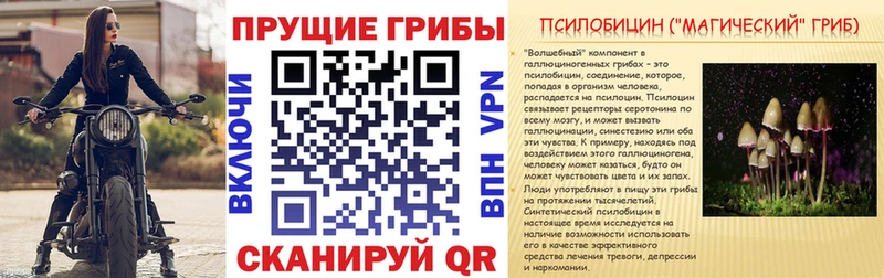 Галлюциногенные грибы Cubensis Кашин