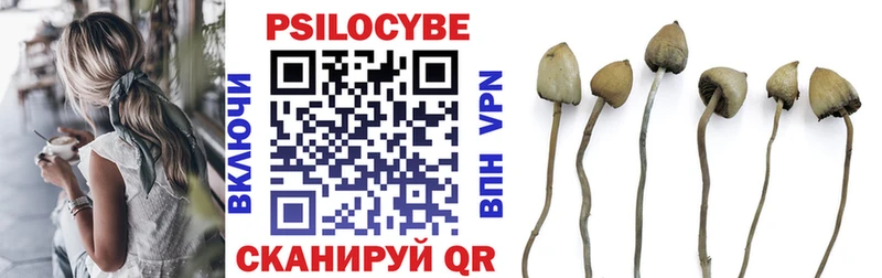Галлюциногенные грибы Psilocybine cubensis  Кашин 